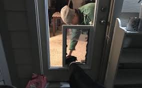 Frigoglass is a strategic partner to the world's top beverage brands. In Glass Pet Doors By The Glass Guru Of Frisco In Prosper Tx Alignable