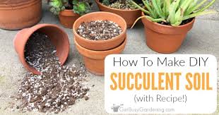 Fat plants san diego premium cacti and how to take care of succulents? How To Make Your Own Succulent Soil With Recipe Get Busy Gardening