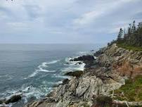 Celebrate Ocean Day at New River Beach - Nature Walk