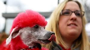 Scenes from the Opening Day celebration