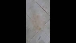 Mermer lekeleri nasıl temizlenir ? Mermer Mermerlekesi Mermerlekesinasilcikar Mermerden Leke Cikarma Dis Macunu Limon Camasir Suyu Youtube