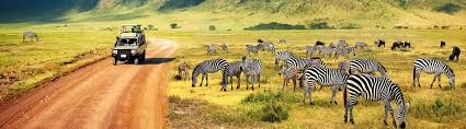 Es grenzt an mosambik, malawi, sambia, die demokratische republik kongo, burundi, ruanda, uganda und kenia. Tansania Sansibar Wilde Tiere Schone Strande Urlaubsguru