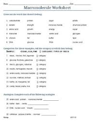 There may be more than 1 answer. 29 Macromolecules Worksheet High School Worksheet Resource Plans