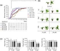 Evidences For A Nutritional Role Of Iodine In Plants Biorxiv