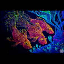 Image result for Decorsea