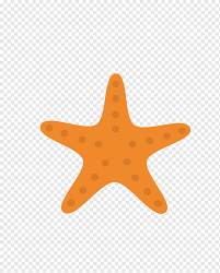 Colección de acuarela de mariscos y estrellas de mar. Icono De Diseno Icono Estrella De Mar Animales Naranja Dibujos Animados De Estrellas De Mar Png Pngwing