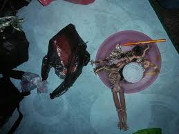 Melbourne (gippsland trophy) 565 000 usd. Ritual Begu Ganjang Di Siantar Inilah Benda Benda Yang Digunakan Lintas Publik