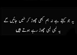 Funny But True Very Funny Quotes Poetry Quotes Funny Quotes