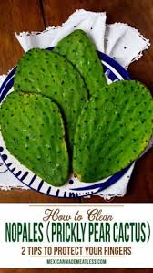 You can refrigerate for over a week. 25 Best Cactus Benefits Ideas Cactus Benefits Cactus Cactus Recipe