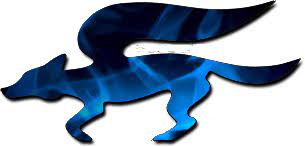 Star Fox Blue Fire Star Fox Fox Stars