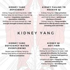 Kidney Patterns Weak Knees Night Sweats Swollen Tongue