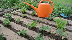 Maybe you would like to learn more about one of these? Vertikaler Garten Aufbau Pflanzen Und Tipps Utopia De