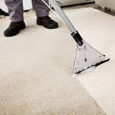 Madame Menage Professional Cleaning Service Cleaning Service In Geneve Coppet Nyon And Lausanne