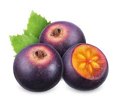 Image result for Flacourtia indica