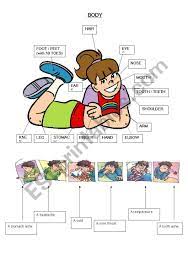 This illnesses vocabulary list includes common aches and pains we feel in our bodies. Body Vocabulary And Illnesses Esl Worksheet By Crazyorwhat