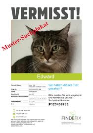 Suchplakat für eine entlaufene katze schreiben. Suchplakat Erstellen Katze Suchplakat Erstellen Tiersuchzentrale Osterreich Nach Angabe Aller Daten Wird Automatisch Ein Pdf Generiert Welches Sie Beliebig Oft Ausdrucken Und Verteilen Konnen Brystol Clausen