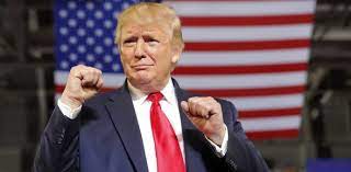 Our online donald trump trivia quizzes can be adapted to suit your requirements for taking some of the top donald trump quizzes. Fun Trivia Question On Donald Trump Proprofs Quiz