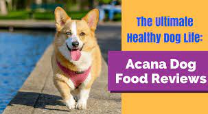 The Ultimate Healthy Dog Life Acana Dog Food Reviews