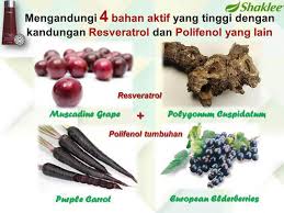 Matlumat lanjut hubungi kakma 0193624134. Vivix Shaklee Kandungan Fungsi Cara Makan Dan Harga Fatin Nadiah Wellness Shaklee Putrajaya