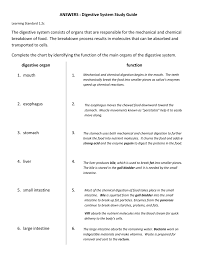 Answers Digestive System Study Guide