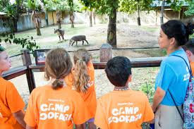 We are excited to announce that day camps at the woodland park zoo will return in summer 2021! Camp Zoofari The Houston Zoo