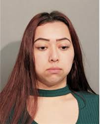 ᐅ Illinois Criminal Records 2009-2025