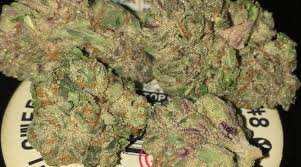 Today i review and smoke gelato from gti! Strain Review Gmo X Gelato 41 8 By Alien Labs The Highest Critic
