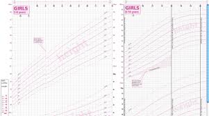 Meng Lian Average Height About Children