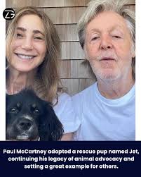 Sir Paul McCartney adopts shelter dog named Jet