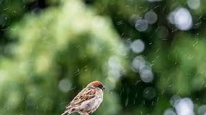 Система главбух — эксклюзивные рекомендации от специалистов министерств и ведомств, готовые решения, формы, бланки и образцы документов, архив журнала «главбух», удобный поиск, отправка отчетности, вебинары. Kakoj Budet Pogoda V Kazahstane 22 Avgusta Dknews