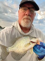 Some catches from the past 2 weeks 5 ትሆው PTO Shhops Shope 참 ایظ