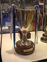 Jul 24, 2021 · svenska cupen; Uefa Cup Winners Cup Wikipedia