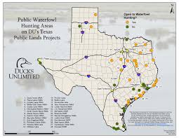 Hunters looking to bag a trophy whitetail buck in oklahoma have a good selection of places. Public Hunting On Du Projects In Texas