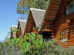 Parques y atracciones naturales de carolina del norte: Cabanas De Montana En Boone Carolina Del Norte Stguitars Com