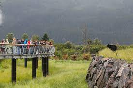 This diverse wilderness protects a wide variety of fish and wildlife species and their habitats. 4imlcudtnt6cnm