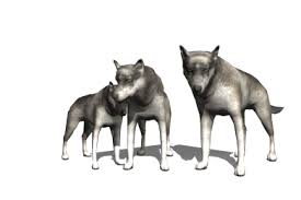 Black and white anime wolves 7 high resolution wallpaper. White Wolf