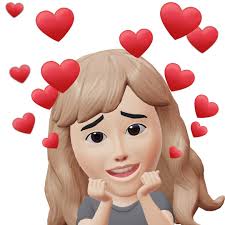 What are good window replacement companies and plumbers in Red Deer?