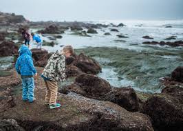 Point Loma Tide Pools Tide Chart