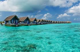 Cheap Hotel And Hostel In Koh Samui Island Maldives Island Island Resort Paradise On Earth