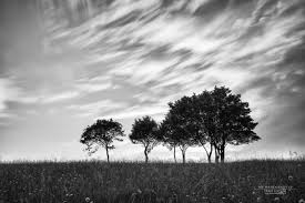 Photo By Ivan Fodor Travel Photography Photography Games Photography