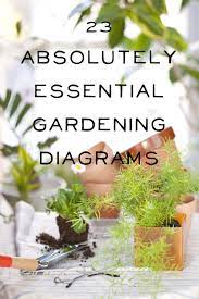 How Much Light Does Your Houseplant Need Find Out With This Handy Chart Plants Gardening Tips Keeping Plants Alive