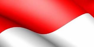 Are you searching for bendera indonesia png images or vector? Perbedaan Bendera Indonesia Dan Monako Halaman All Kompas Com
