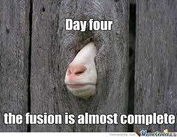 Keep calm and chive on! 35 Most Funny Goat Meme Pictures And Images