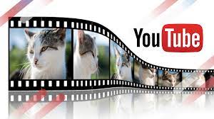 Choose from many topics, skill levels, and languages. How To Embed A Youtube Video In A Google Slide Presentation