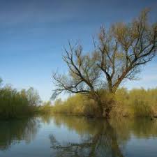 În anul 2001, parcul natural balta mică a brăilei a fost înscris pe lista ramsar. Parcul Natural Balta Mica A Brailei