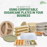 Using Compostable Sugarcane Plates in Your Business. Benefits