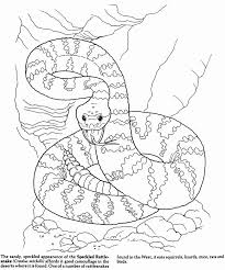 Coloring Pages For Kids Of Desert Animal In 2020 Snake Coloring Pages Animal Coloring Pages Desert Animals Coloring