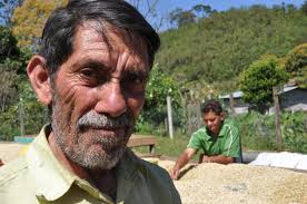 Producer Profile: Daniel Moreno — Collaborative Coffee Source