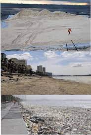 Manila Bay White Sand In Facebook Pulse Manila Sand Historical Landmarks