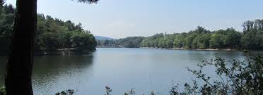 Zur weiteren beobachtung sei die polizei und das technische hilfswerk (thw) vor ort. Steinbachtalsperre Schwimmen Spazieren Oder Schlemmen Wald Flur Das Natur Und Freizeitmagazin Fur Bonn Rhein Sieg Siegburg Wachtberg Ahrweiler Und Umgebung